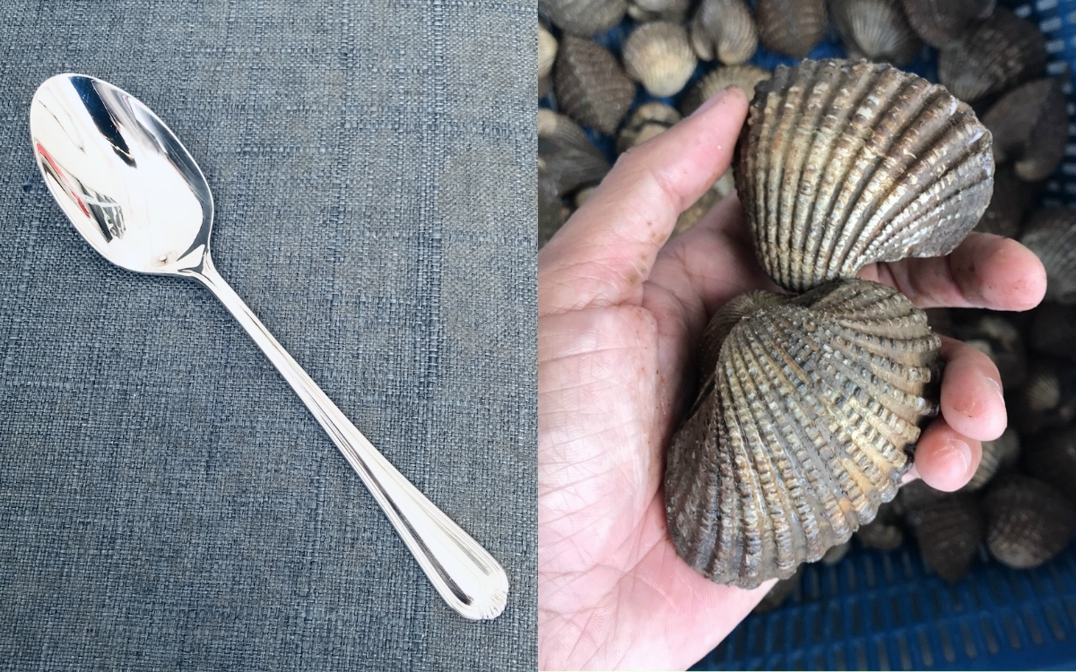 Phương Pháp 2: Sử Dụng Các Vật Dụng Bằng Kim Loại