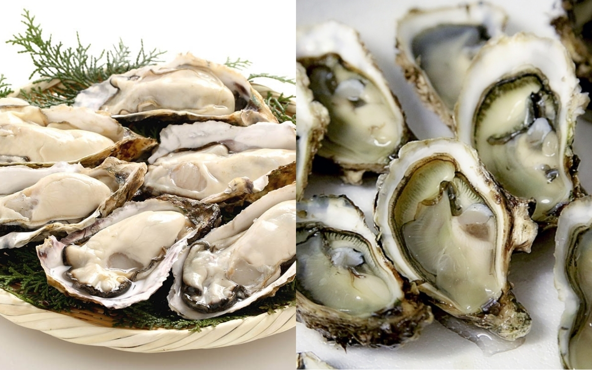 Mách Bạn Cách Tách Vỏ Hàu Đơn Giản, An Toàn và Nhanh Nhất 5 Làm Sạch Thịt Hàu – Khử Mùi Tanh và Rửa Lại Với Nước Ấm