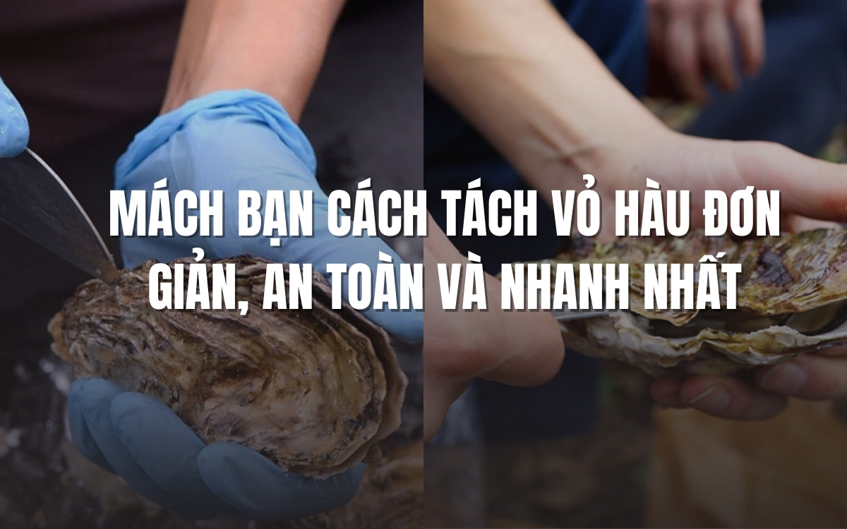 Mách Bạn Cách Tách Vỏ Hàu Đơn Giản, An Toàn và Nhanh Nhất 1 Cách tách vỏ hàu đơn giản nhanh chóng
