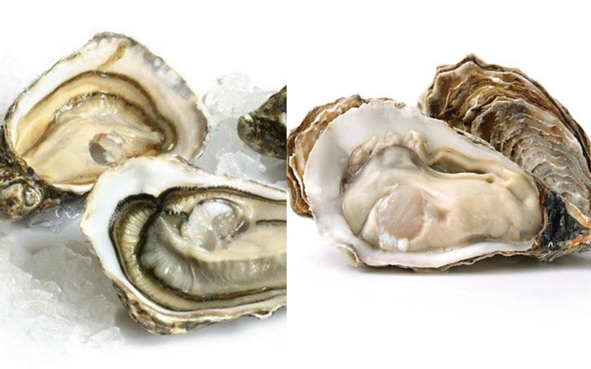 Mách Bạn Cách Tách Vỏ Hàu Đơn Giản, An Toàn và Nhanh Nhất 4 Hướng Dẫn Từng Bước Tách Vỏ Hàu – Đơn Giản, Nhanh Gọn và An Toàn