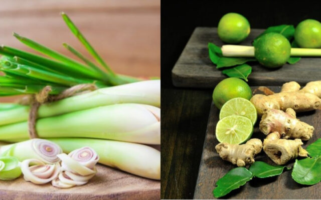 Bí quyết làm ốc ụ vàng hấp sả giòn sần sật, chấm mắm gừng ngon "xoắn lưỡi" 2026 5 Lá Chanh và Sả – Tạo Độ Thơm Thảo Dược, Giảm Tính Hàn và Tăng Sự Hấp Dẫn