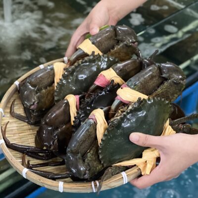 Hàng Biển Sống Mỗi Ngày Tại Hải Sản Lộc