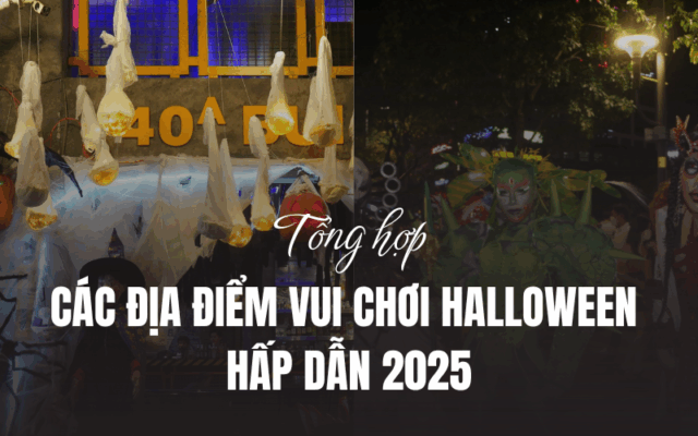 ANH BAI VIET HSL CTY 21