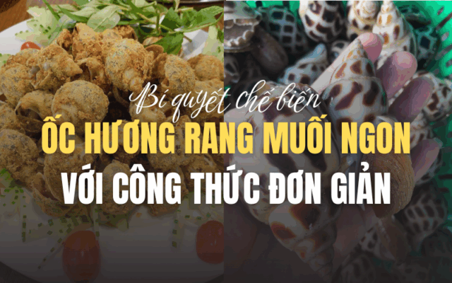 ANH BAI VIET HSL CTY 22