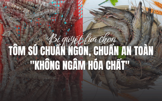 Bí quyết lựa chọn tôm sú chuẩn chất lượng