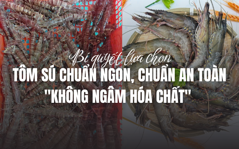 Bí quyết lựa chọn tôm sú chuẩn chất lượng