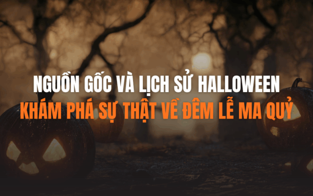 ANH BAI VIET HSL CTY 23