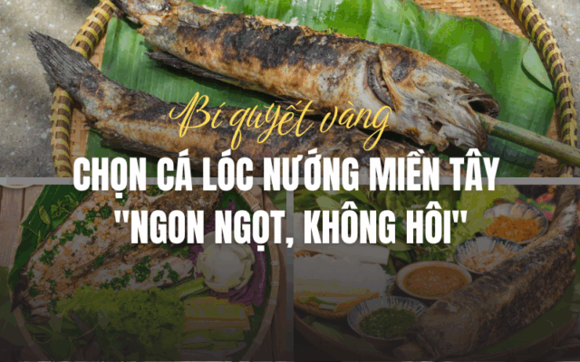 ANH BAI VIET HSL CTY 9