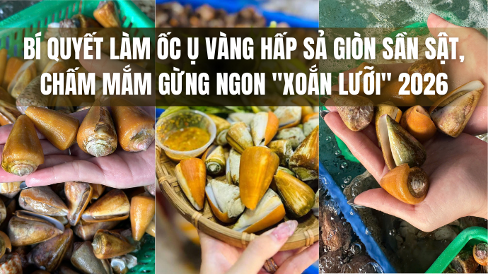Bí quyết làm ốc ụ vàng hấp sả giòn sần sật, chấm mắm gừng ngon "xoắn lưỡi" 2026 1 ANH BAI VIET HSL CTY 40
