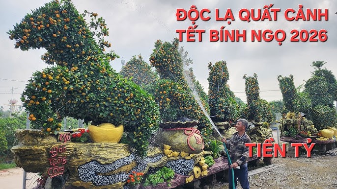 Săn tìm cây kiểng độc lạ đón tết 2026 rước tài lộc: Xu hướng kiểng thú và bonsai cổ thụ vạn người mê 1 hq720