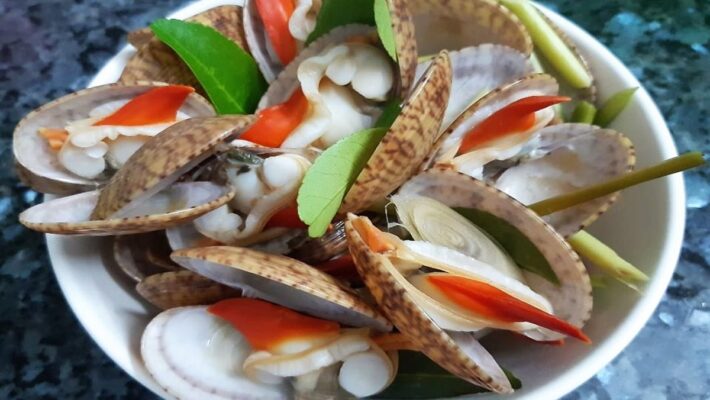 Sò Lụa Đỏ: Cách phân biệt với Sò Lụa Trắng và mẹo chế biến không bị dai 2026 6 so lua do0