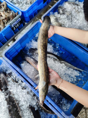 Cá Chạch Lấu: Từ món ăn dân dã đến đặc sản thượng hạng trong các nhà hàng VIP 2026 2 Cá Chạch Lấu Bóng Bẩy Ngon Hết Sẩy Tại Hải Sản Lộc