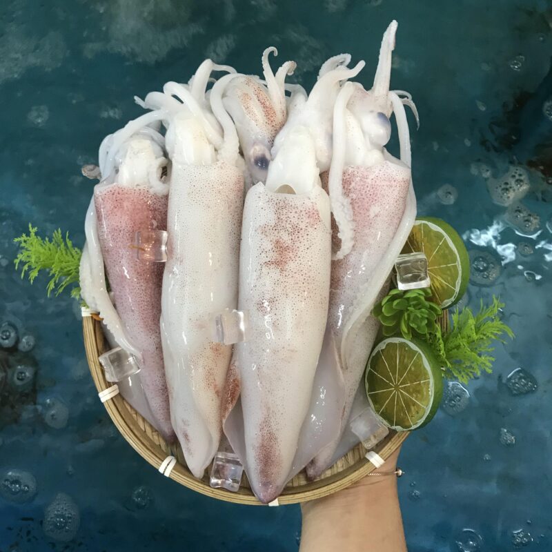 Tại Sao Mực Ống Chiên Lại Nổ Banh Chảo? Mẹo Chiên Mực Ống Giòn Rụm An Toàn Nhất 2026 1 Mực Ống