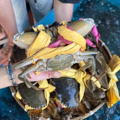 Giá hải sản nhảy múa Tại sao cua ghẹ lại đắt vào ngày rằm 2026 4 Cua Gạch Được Lựa Chọn Kỹ Tại Hải Sản Lộc