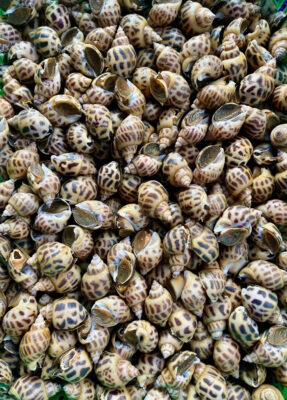 Nghỉ lễ quốc tế lao động 1/5 Gợi ý các điểm cắm trại gần Cần Thơ 4 Ốc Hương Sống Siêu Giòn Ngọt Tại Hải Sản Lộc