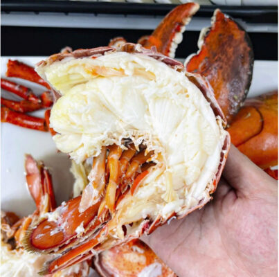 Tôm hùm alaska sống ở đâu Tại sao thịt lại dai ngon bất thường 2 Mặt cắt ngang của phần đuôi tôm hùm alaska lộ ra những thớ thịt trắng muốt, săn chắc và đầy đặn