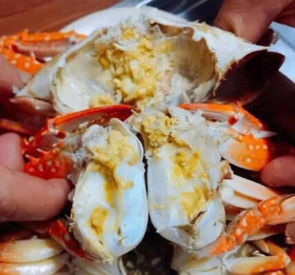 1 Số Mẹo Chọn & Bảo Quản Hải Sản Tươi Sống Chuẩn Ngon Tại Nhà 4 Mẹo Chọn & Bảo Quản Hải Sản Tươi Sống Chuẩn Ngon Tại Nhà