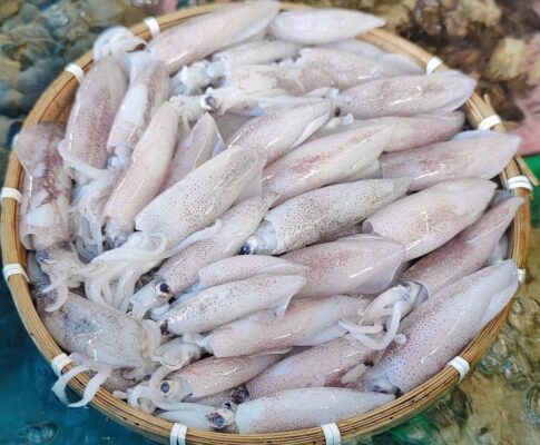 1 Số Mẹo Chọn & Bảo Quản Hải Sản Tươi Sống Chuẩn Ngon Tại Nhà 3 Mẹo Chọn & Bảo Quản Hải Sản Tươi Sống Chuẩn Ngon Tại Nhà