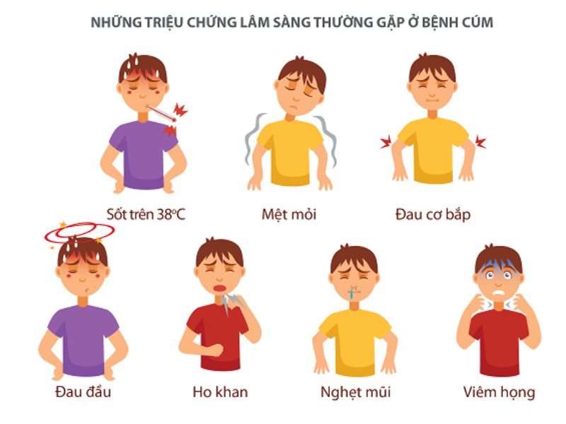 7 Cách Phòng Bệnh Cảm Cúm Mùa Đông Hiệu Quả Bảo Vệ Gia Đình 2 cách phòng bệnh cảm cúm mùa đông