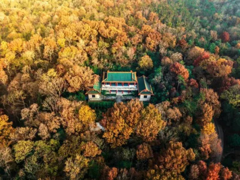 Top 10 Địa Điểm Du Lịch Mùa Thu Đẹp Nhất 2026 Bạn Phải Đến 2 địa điểm du lịch mùa thu đẹp nhất