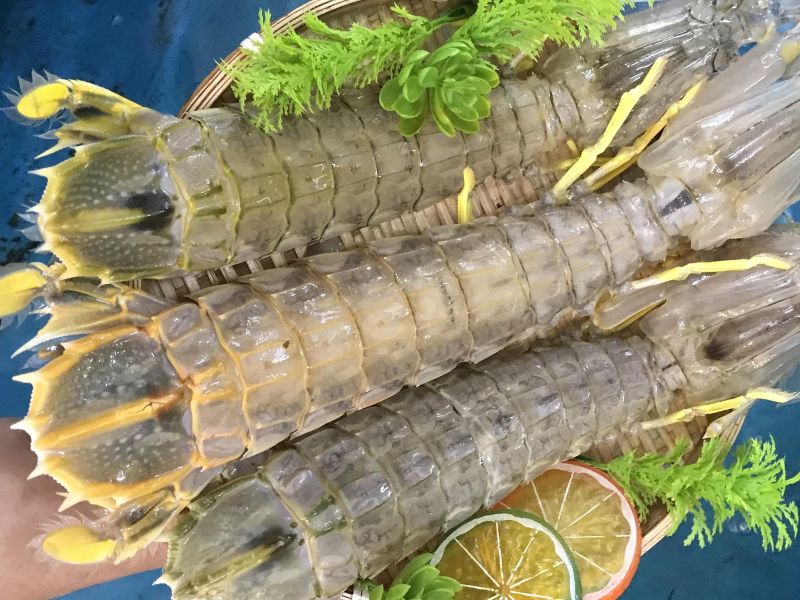 Top 8 Hải Sản Tháng 11 Tươi Ngon Béo Ngậy Cực Bổ Dưỡng 2 hải sản tháng 11