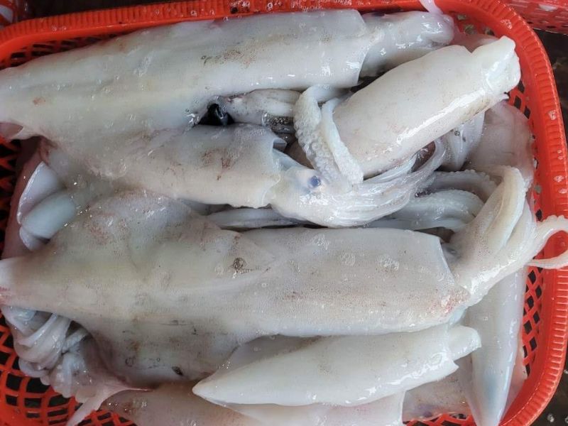 Top 8 Hải Sản Tháng 11 Tươi Ngon Béo Ngậy Cực Bổ Dưỡng 6 hải sản tháng 11